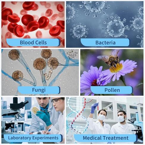 غرفة عد الخلايا PULSECORE، مقياس الكريات نيوباور المحسن - شبكة عد مطلية بالكروم بعمق 0.1 مم، زجاجتان قابلتان لإعادة الاستخدام لحساب الخلايا/حبوب اللقاح (الاستخدام المختبري والطبي، 32 × 75 مم) in Kuwait