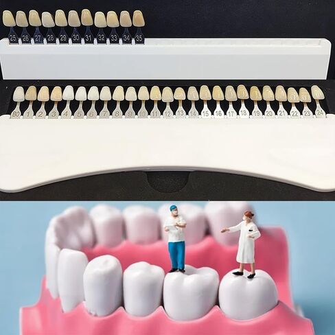 KHZKHC 35 Colors Tooth Whitening Shade Chart, Dental Teeth Shade Guide, with Case, Dental Tools, Engraved Numbers, Easy Read Compare, for Dental Clinic, Individual, Hospital in Saudi Arabia