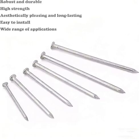 304 Stainless Steel Round-head Nails, Round-head Steel Nails for Flooring, 0.5kg, 0.5 Inches To 8 Inches, Suitable for Woodworking DIY (1.0in/approx.750pcs) in Saudi Arabia