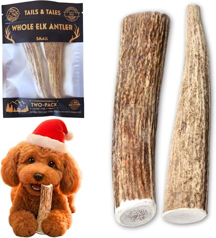 ذيول وحكايات عظام الأيائل الكاملة للكلاب الصغيرة 4-6 "عظام الكلاب طويلة الأمد ودائمة للمضغرين العدوانيين أو الجراء التسنين لا تضافات ، فائقة الصف أ ، سقيفة بشكل طبيعي في الولايات المتحدة الأمريكية in Kuwait