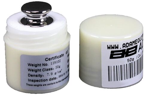 Adam Equipment ASTM 1-100g Calibration Weight in Saudi Arabia
