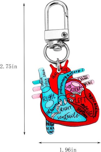 Jesemiah Heart Diagram Keychain,Anatomy and Blood Circulation Diagram of the Heart,Acrylic Funny Medical Cardiac Keychain in Saudi Arabia