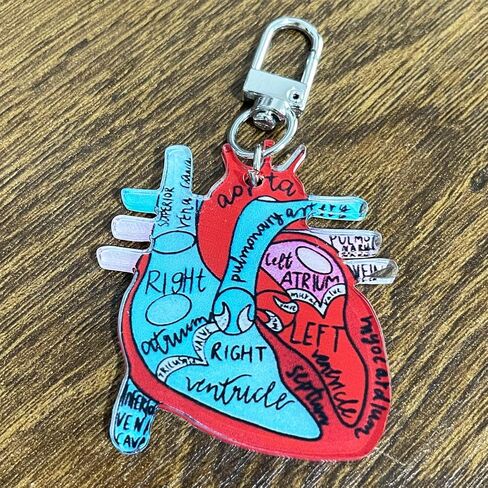 Jesemiah Heart Diagram Keychain,Anatomy and Blood Circulation Diagram of the Heart,Acrylic Funny Medical Cardiac Keychain in Saudi Arabia