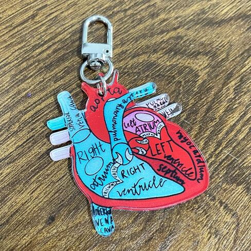 Jesemiah Heart Diagram Keychain,Anatomy and Blood Circulation Diagram of the Heart,Acrylic Funny Medical Cardiac Keychain in Saudi Arabia