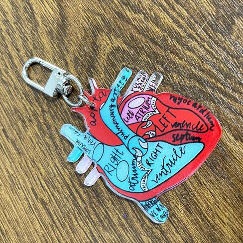 Jesemiah Heart Diagram Keychain,Anatomy and Blood Circulation Diagram of the Heart,Acrylic Funny Medical Cardiac Keychain in Saudi Arabia