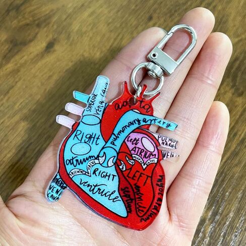 Jesemiah Heart Diagram Keychain,Anatomy and Blood Circulation Diagram of the Heart,Acrylic Funny Medical Cardiac Keychain in Saudi Arabia