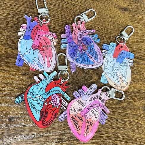 Jesemiah Heart Diagram Keychain,Anatomy and Blood Circulation Diagram of the Heart,Acrylic Funny Medical Cardiac Keychain in Saudi Arabia