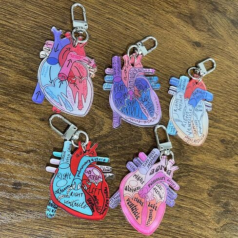 Jesemiah Heart Diagram Keychain,Anatomy and Blood Circulation Diagram of the Heart,Acrylic Funny Medical Cardiac Keychain in Saudi Arabia
