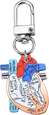 Jesemiah Heart Diagram Keychain,Anatomy and Blood Circulation Diagram of the Heart,Acrylic Funny Medical Cardiac Keychain in Saudi Arabia