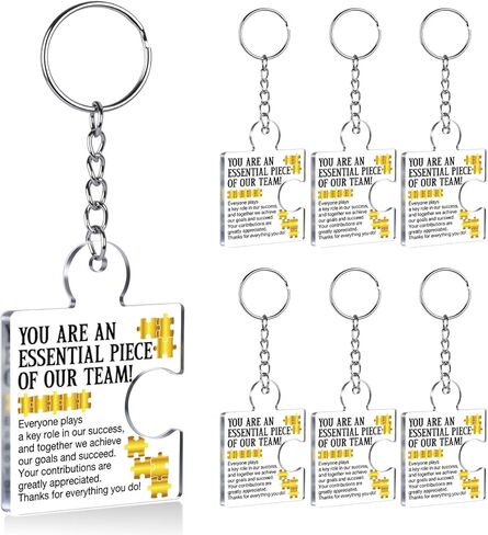 Inspirational Team Gifts for Coworkers, 12 Pcs Teamwork Gift Employee Appreciation Keychain for Staff Teachers Colleagues Coach, Team Together Everyone Achieves More Acrylic Puzzle Piece Keychains in Kuwait