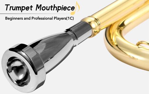 ZLXHDL Trumpet Mouthpiece - 3C/1.5C/1C Silver Color Pure Full Copper Silver Plating Trombone Mouthpiece for Beginners and Professional Players for Bach Conn(1C) in Saudi Arabia