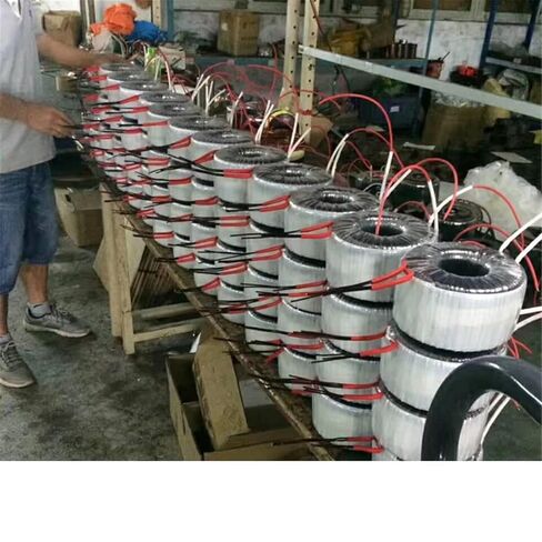48V60V70V80V مكبر كهربائي عزل مرحلة واحدة حلقة الماشية محول الطاقة محول الطاقة العالية 1000 واط in Saudi Arabia