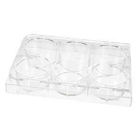 Luxshiny 5pcs 6-Well Cell Culture Plate Lab Equipment Tray Lid for Tissue Culture in Kuwait