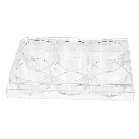Luxshiny 5pcs 6-Well Cell Culture Plate Lab Equipment Tray Lid for Tissue Culture in Saudi Arabia