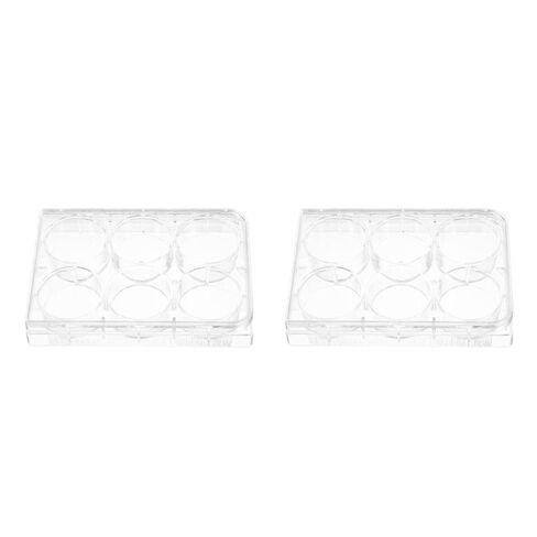 MUCKLILY 2pcs Tissue Culture Plate Cell Culture Tray for Laboratory Use Optimal Environment for Cell Growth and Testing in Saudi Arabia