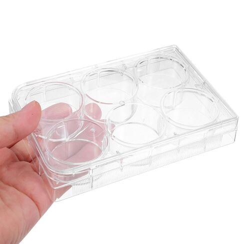 MUCKLILY 2pcs Tissue Culture Plate Cell Culture Tray for Laboratory Use Optimal Environment for Cell Growth and Testing in Saudi Arabia