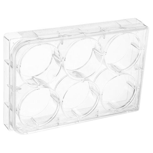 MUCKLILY 2pcs Tissue Culture Plate Cell Culture Tray for Laboratory Use Optimal Environment for Cell Growth and Testing in Saudi Arabia