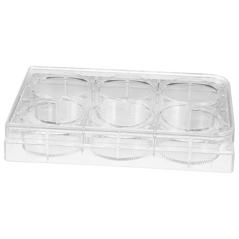MUCKLILY 2pcs Tissue Culture Plate Cell Culture Tray for Laboratory Use Optimal Environment for Cell Growth and Testing in Saudi Arabia