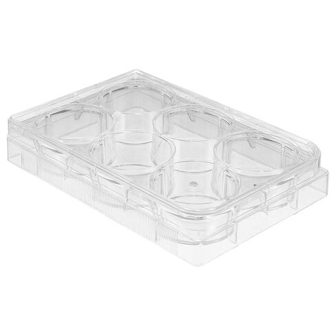 MUCKLILY 2pcs Tissue Culture Plate Cell Culture Tray for Laboratory Use Optimal Environment for Cell Growth and Testing in Saudi Arabia