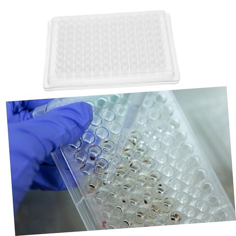 Holibanna 100pcs Reaction Plates Cell Culture Trays Laboratory Tissue Culture Plate Lab Equipment in Saudi Arabia