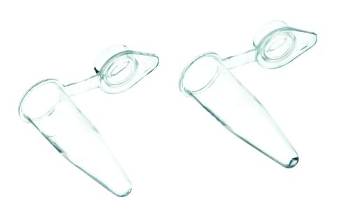 EISCO PCR Tubes, PP 0.2ml, Flat Cap - Pack of 1000 in Saudi Arabia
