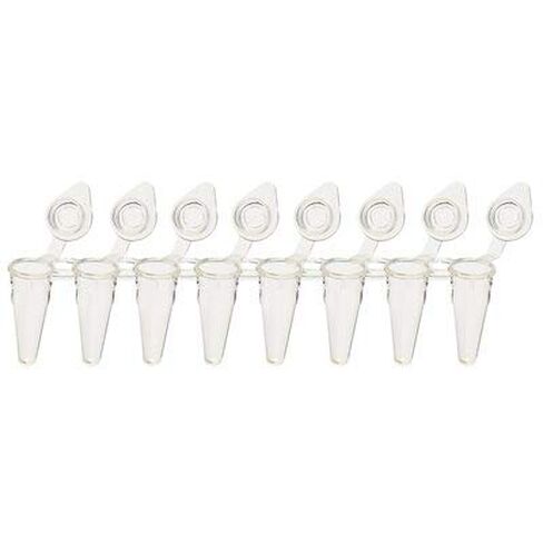 BrandTech P1100 Tube Strip, Rigid 8-Strip Tubes, Low Profile, Clear, 8 x 0.15mL, Pack of 120 in Saudi Arabia