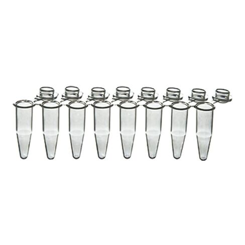 BrandTech Scientific P1300 PCR 8-Strip with Domed Cap for 0.20ml Tube, Clear (20) in Saudi Arabia