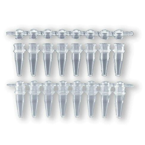 781327-8-Tube Strips with Attached Cap Strip - Brand PCR 8- and 12-Strip Tubes and Caps, BrandTechÂ - Pack of 250 in Saudi Arabia