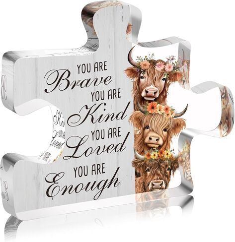 Spring Decorations Highland Cow Gifts for Women Friends Daughter Sister, Every day is a New Beginning Motivational and Inspirational Decorations for Home Bathroom, Housewarming Acrylic Keepsake Gifts in Kuwait