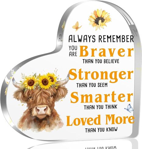 Spring Decorations Highland Cow Gifts for Women Friends Daughter Sister, Every day is a New Beginning Motivational and Inspirational Decorations for Home Bathroom, Housewarming Acrylic Keepsake Gifts in Kuwait