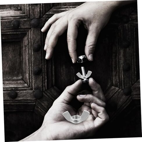 Holibanna 60pcs Sturdy Stainless Nuts Fasteners for Easy Hand Tightening and Resistant for Professional Maintenance in Kuwait