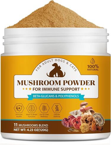 مسحوق مكملات الفطر العضوي للكلاب والقطط - 11 مجمع الفطر مع ذيل الديك الرومي ، ريشي و Cordyceps ، يدعم الورم الشحمي ، الكتل والمطبات ، صحة المناعة والجلد ، 120 جرام in Kuwait