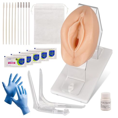 MedEduQuest Pelvic Health Model, Vaginal Training Model for Science Education, Gynecological Examination Vulva Anatomical Model for Demonstration in Saudi Arabia