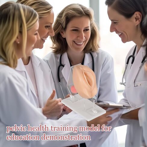MedEduQuest Pelvic Health Model, Vaginal Training Model for Science Education, Gynecological Examination Vulva Anatomical Model for Demonstration in Saudi Arabia