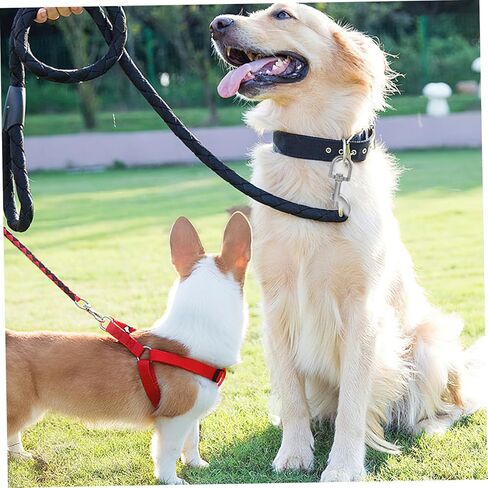 TEHAUX 3Pcs Heavy Duty Zinc Alloy Snap Hooks for Pet Leashes Swivel Clasp Clips for Dog Chains Key Holders Stylish Reliable Electroplated Design for Outdoor Activities Training in Saudi Arabia