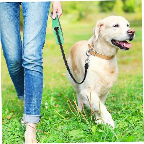 TEHAUX 3Pcs Heavy Duty Zinc Alloy Snap Hooks for Pet Leashes Swivel Clasp Clips for Dog Chains Key Holders Stylish Reliable Electroplated Design for Outdoor Activities Training in Saudi Arabia
