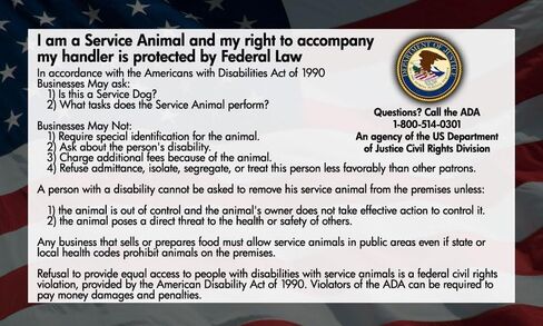 ADA Service Dog Law Cards 2026 - THE ORIGINAL - 50 ADA Service Dog Information Cards - Service Dog Card States Your Legal Rights - Use with Your Service Dog Certificate in Saudi Arabia