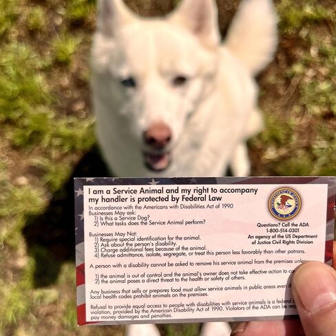 ADA Service Dog Law Cards 2026 - THE ORIGINAL - 50 ADA Service Dog Information Cards - Service Dog Card States Your Legal Rights - Use with Your Service Dog Certificate in Saudi Arabia