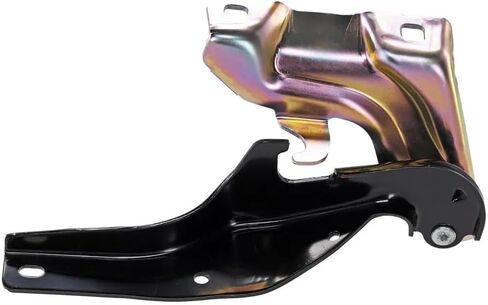 Rareelectrical New Left Hood Hinge Compatible with Cadillac SRX Premium 6 Cyl 3.0L SRX Base 6 Cyl 3.6L SRX Premium 6 Cyl 3.6L SRX Luxury 6 Cyl 3.6L 2010-2016 by Gm1236224 15884430 in Saudi Arabia