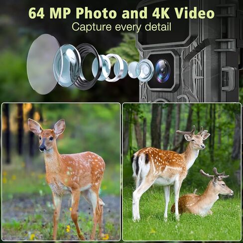 كاميرا KJK WiFi Trail لمراقبة الحياة البرية in Kuwait