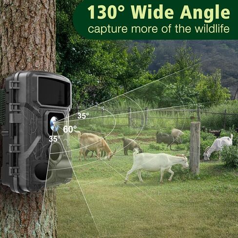 كاميرا KJK WiFi Trail لمراقبة الحياة البرية in Kuwait