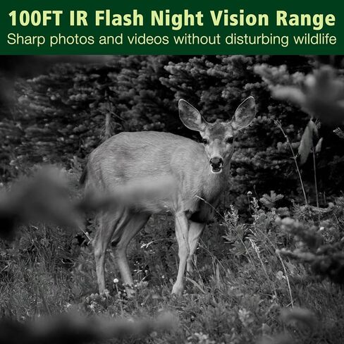 كاميرا KJK WiFi Trail لمراقبة الحياة البرية in Kuwait