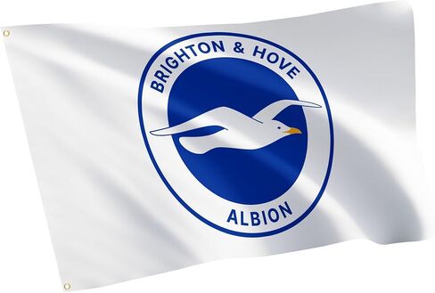 Desert Cactus Brighton & Hove Albion Flag BHAFC Seagulls 100% Polyester Indoor Outdoor 3x5 feet Officially Licensed Gear (Design C) in Saudi Arabia