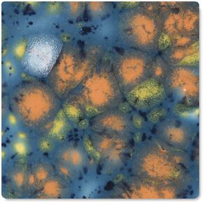 Mayco Jungle Gems Crystal Glaze - Koi Pond, Pint