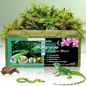 8.8 OZ Sphagnum Moss for Reptiles, 30 Quarts, Plants and Terrariums, Forest Moss Bedding for Leopard Geckos, Ball Pythons and More, Green (250g)