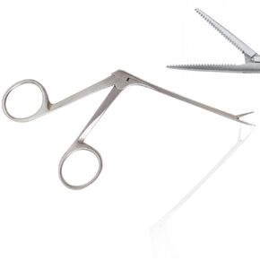 AAPROTOOLS 3.5" Alligator Forceps, Stainless Steel A+ Quality