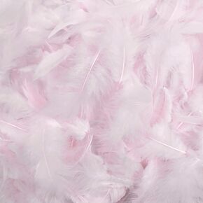 White Feather 100pcs for DIY Craft Wedding Home Party Home Decorations