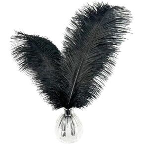 Happy Feather Natural Ostrich Feathers Centerpiece 14-16 inch for Wedding Home Party Decoration, DIY Craft-White- Pack of 10