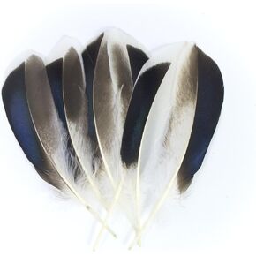 ALL in ONE Natural Feather for DIY Craft (Duck Wing)