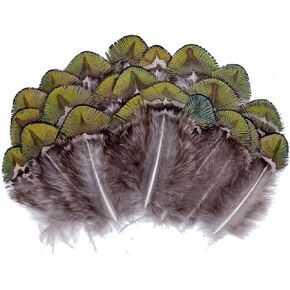LWINGFLYER 100PCS Gold Green Peacock Pheasant Plumage 2-3 inch Small Natural Feathers for Craft Dream Catchers in Kuwait